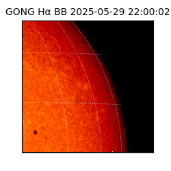gong - 2025-05-29T22:00:02