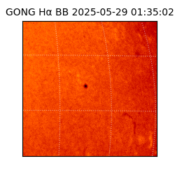 gong - 2025-05-29T01:35:02