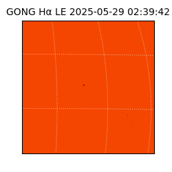 gong - 2025-05-29T02:39:42