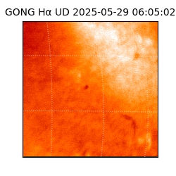 gong - 2025-05-29T06:05:02