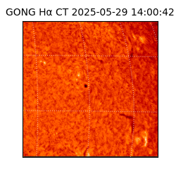 gong - 2025-05-29T14:00:42