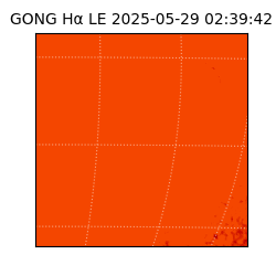 gong - 2025-05-29T02:39:42