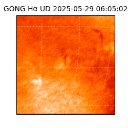gong - 2025-05-29T06:05:02