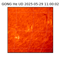gong - 2025-05-29T11:00:02