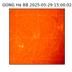 gong - 2025-05-29T15:00:02