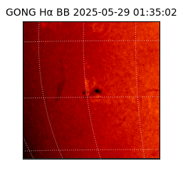 gong - 2025-05-29T01:35:02
