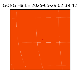 gong - 2025-05-29T02:39:42