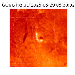 gong - 2025-05-29T05:30:02