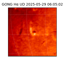 gong - 2025-05-29T06:05:02