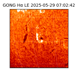 gong - 2025-05-29T07:02:42