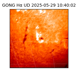 gong - 2025-05-29T10:40:02