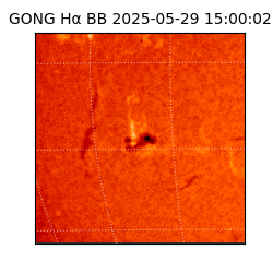 gong - 2025-05-29T15:00:02