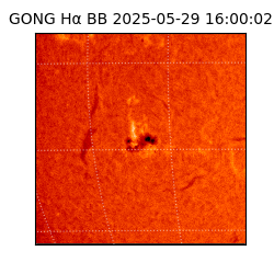 gong - 2025-05-29T16:00:02