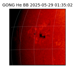 gong - 2025-05-29T01:35:02
