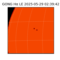 gong - 2025-05-29T02:39:42