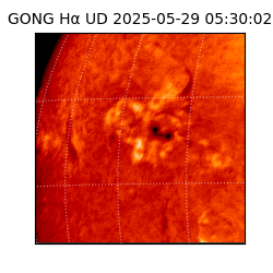 gong - 2025-05-29T05:30:02