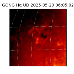 gong - 2025-05-29T06:05:02