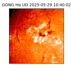 gong - 2025-05-29T10:40:02