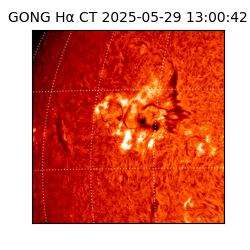 gong - 2025-05-29T13:00:42