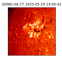 gong - 2025-05-29T14:00:42