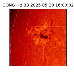 gong - 2025-05-29T16:00:02