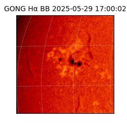 gong - 2025-05-29T17:00:02