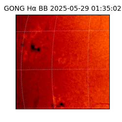 gong - 2025-05-29T01:35:02