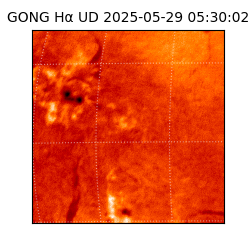 gong - 2025-05-29T05:30:02
