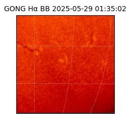 gong - 2025-05-29T01:35:02