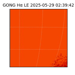 gong - 2025-05-29T02:39:42