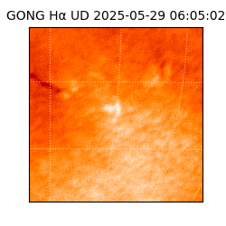 gong - 2025-05-29T06:05:02