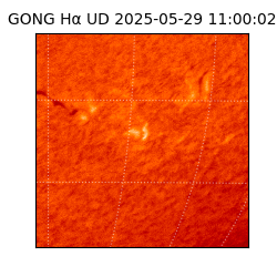 gong - 2025-05-29T11:00:02
