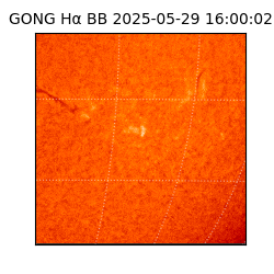 gong - 2025-05-29T16:00:02