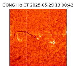 gong - 2025-05-29T13:00:42
