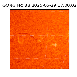 gong - 2025-05-29T17:00:02