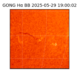 gong - 2025-05-29T19:00:02