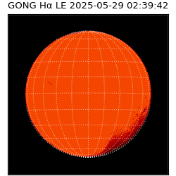 gong - 2025-05-29T02:39:42