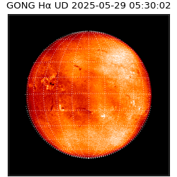 gong - 2025-05-29T05:30:02