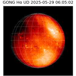 gong - 2025-05-29T06:05:02