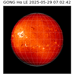 gong - 2025-05-29T07:02:42