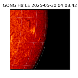 gong - 2025-05-30T04:08:42