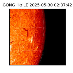 gong - 2025-05-30T02:37:42