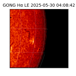 gong - 2025-05-30T04:08:42