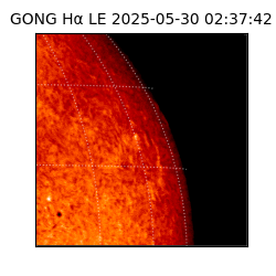 gong - 2025-05-30T02:37:42