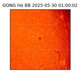 gong - 2025-05-30T01:00:02