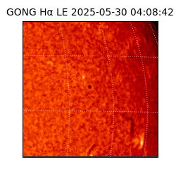 gong - 2025-05-30T04:08:42