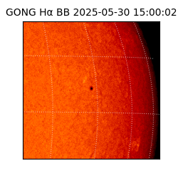 gong - 2025-05-30T15:00:02