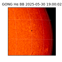 gong - 2025-05-30T19:00:02