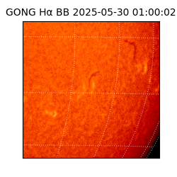 gong - 2025-05-30T01:00:02