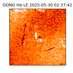 gong - 2025-05-30T02:37:42